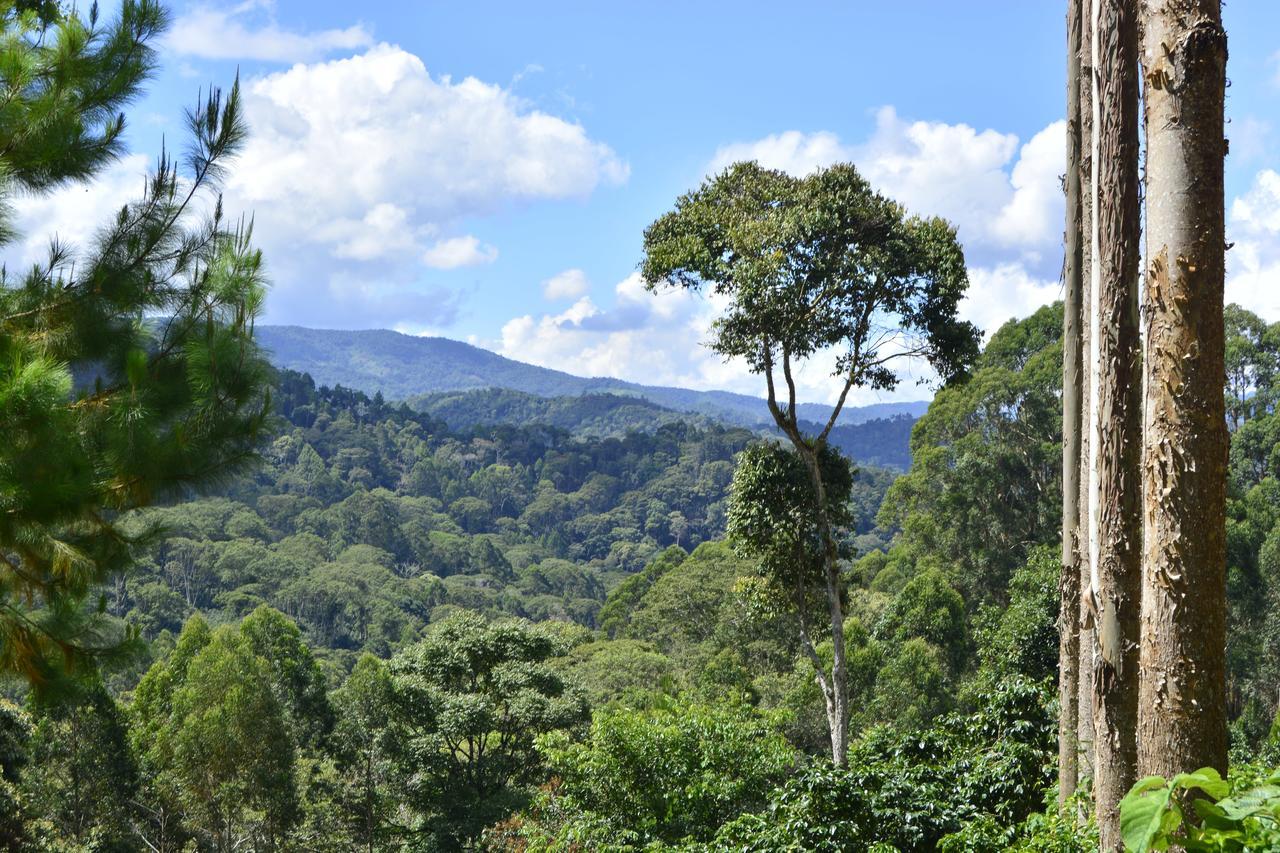 Отель Finca Santa Rosa Марискаль-Кастилья Экстерьер фото